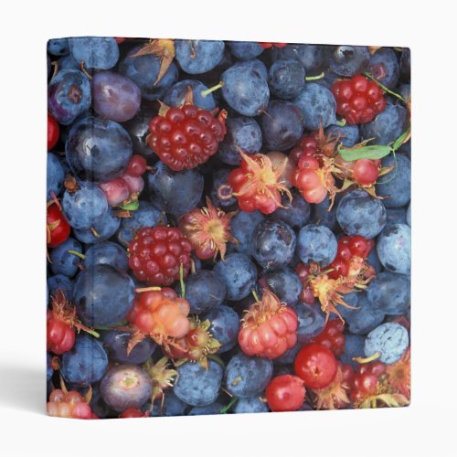 Collage of Wild Berries Blueberries Raspberries Binder