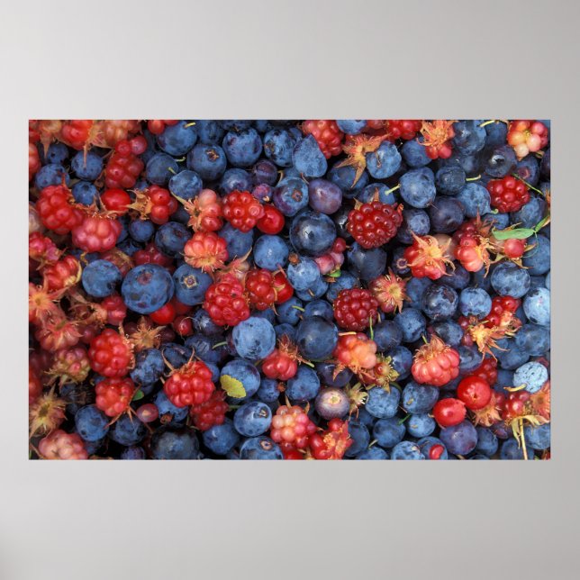 Collage of Wild Berries Blueberries Raspberries Poster (Front)