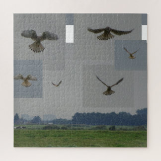 Collage Puzzle: Eemnes Polder BIRD OF PREY Jigsaw Puzzle