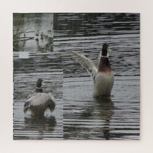 Collage Puzzle Nature Park Lelystad DUCK Jigsaw Puzzle