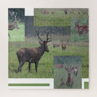 Collage Puzzle: Nature Park Lelystad RED DEER Jigsaw Puzzle