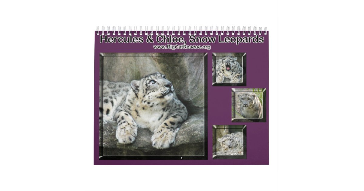 collagesnowleopard calendar Zazzle