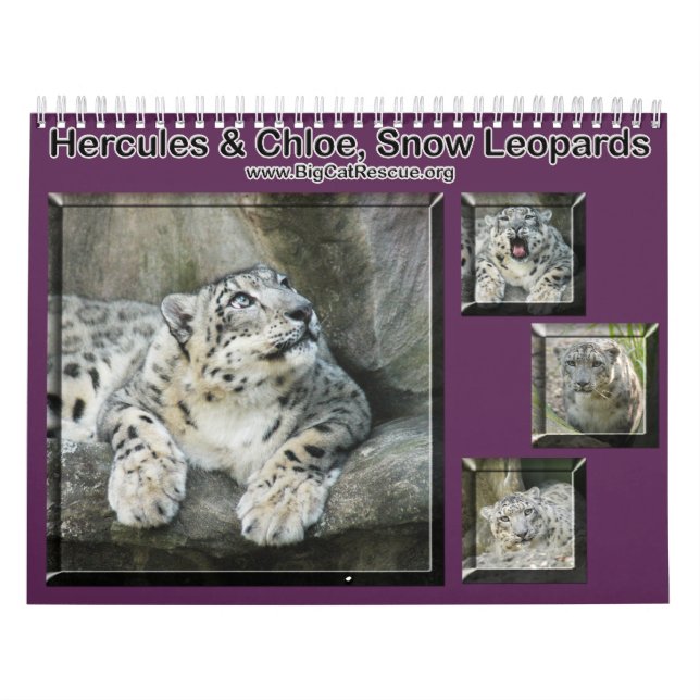 collage-snow-leopard calendar (Cover)