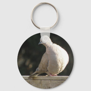 Collared Dove Keychain