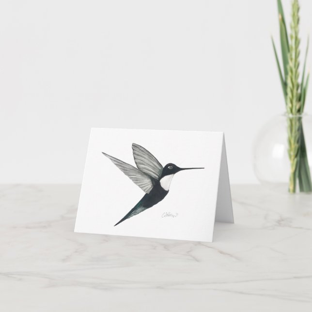 Collared Inca Hummingbird Card (Front)