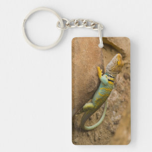 Collared Lizard Keychain