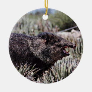 Collared peccary (javelina) yawning amid flowering ceramic ornament