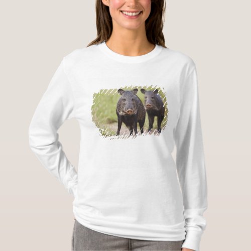 Collared Peccary Pecari tajacu adults Santa T_Shirt