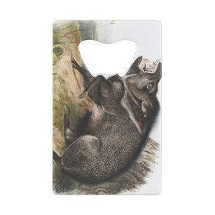 Collared Peccary Pig Camping Deco Gifts Credit Card Bottle Opener