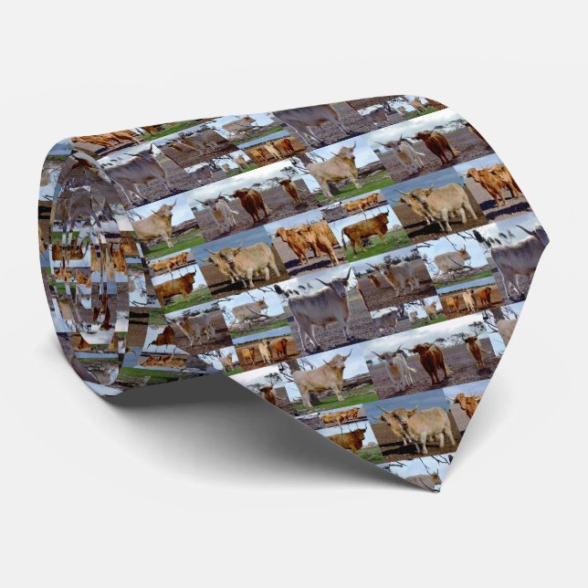 Collarge Of Highland Cows, Neck Tie (Rolled)