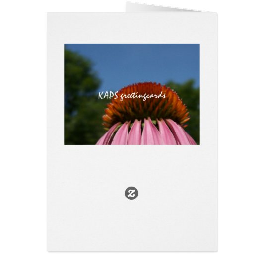 Collasol Echinacea (Back)