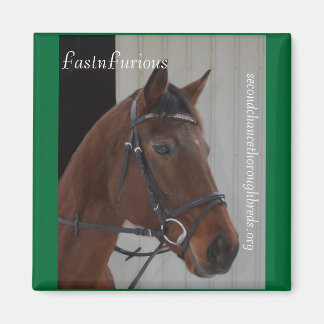 Collectible Magnet Series - FastnFurious