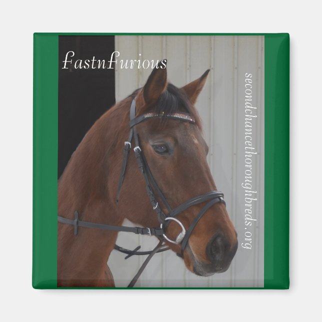 Collectible Magnet Series - FastnFurious (Front)