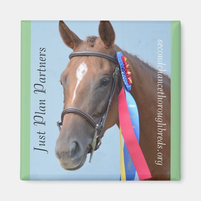 Collectible Magnet Series - Just Plan Partners (Front)