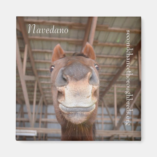 Collectible Magnet Series - Navedano (Front)