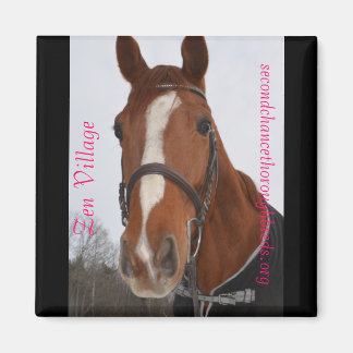 Collectible Magnet Series - Zen Village