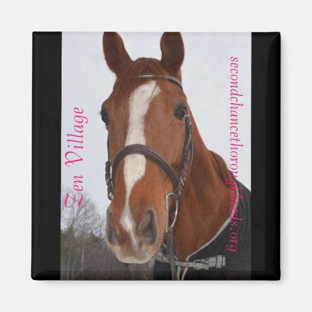 Collectible Magnet Series - Zen Village (Front)