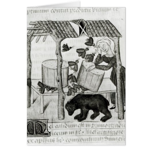 Collecting Honey (Front)