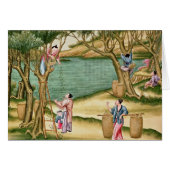 Collecting mulberries (Front Horizontal)