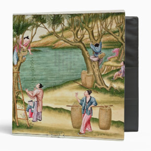 Collecting mulberries 3 ring binder