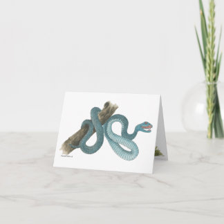 Collection Austrailian snake Note Card