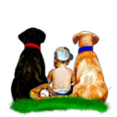 It's a Boy, Baseball Themed Boy's Baby Shower Chocolate Covered Oreo