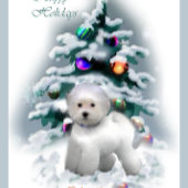 Bichon Frise Christmas Gifts