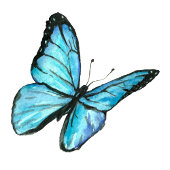 Trendy blue watercolor butterflies. Modern Wedding Invitation