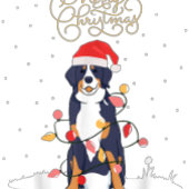 Brother Bear LGBT Christmas Rainbow Pride Gay Lesb