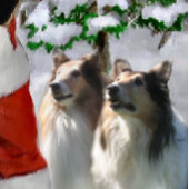 Sable Rough Collie Christmas Gifts