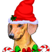 Dachshund Christmas Gifts