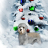 Dandie Dinmont Terrier Christmas