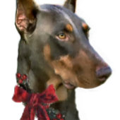 Doberman Pinscher Christmas