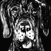 Doggenwelpe Geburtstagskarte