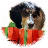English Setter Christmas Gifts