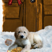 Goldendoodle Christmas Gifts