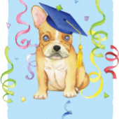 Mini Schnauzer Graduate