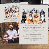 Cute Dogs Happy Halloween Holiday Card