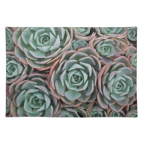 Collection of Blushing Succulents Cloth Placemat