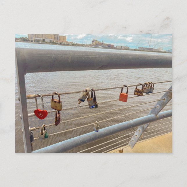 Collection of Love Locks Postcard (Front)