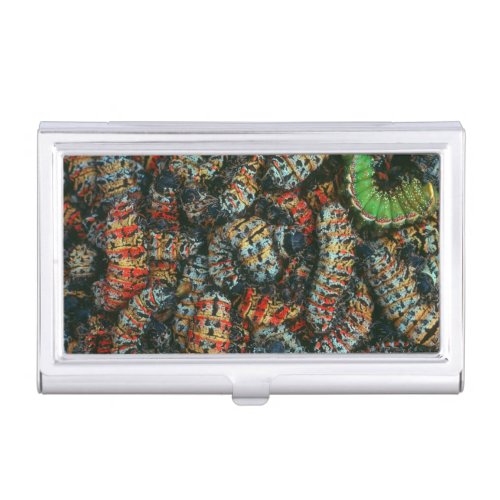 Collection Of Mopane Worms Imbrassia Belina Business Card Case
