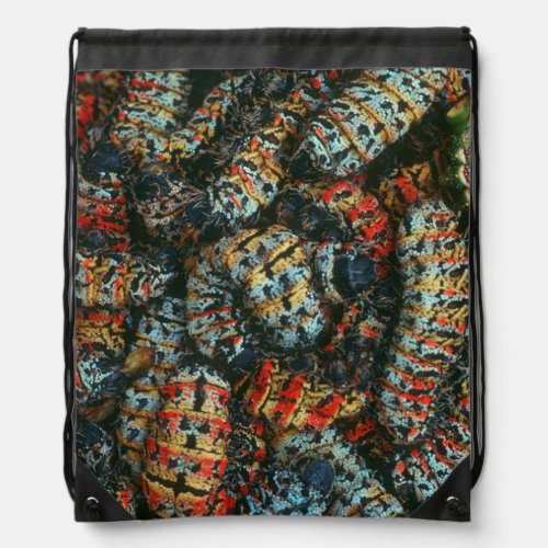 Collection Of Mopane Worms Imbrassia Belina Drawstring Bag