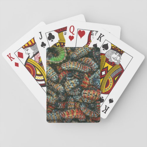 Collection Of Mopane Worms Imbrassia Belina Poker Cards