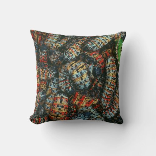 Collection Of Mopane Worms Imbrassia Belina Throw Pillow