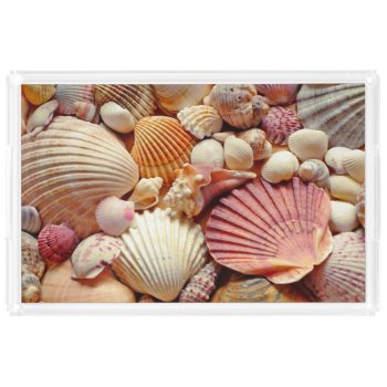 Collection Of Seashells Scallops Clams And Conch Acrylic Tray by beachcafe at Zazzle