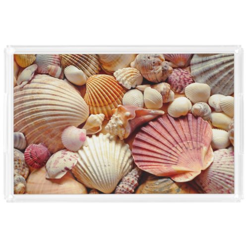 Collection of Seashells Scallops Clams and Conch Acrylic Tray