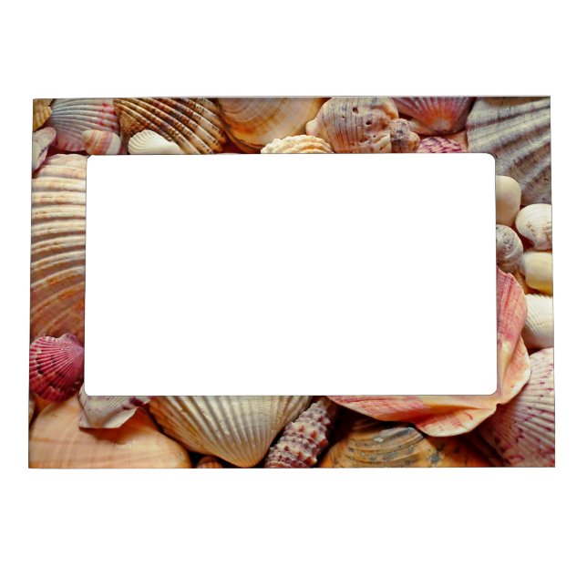 Collection of Seashells Scallops Clams and Conch Magnetic Frame (Front)