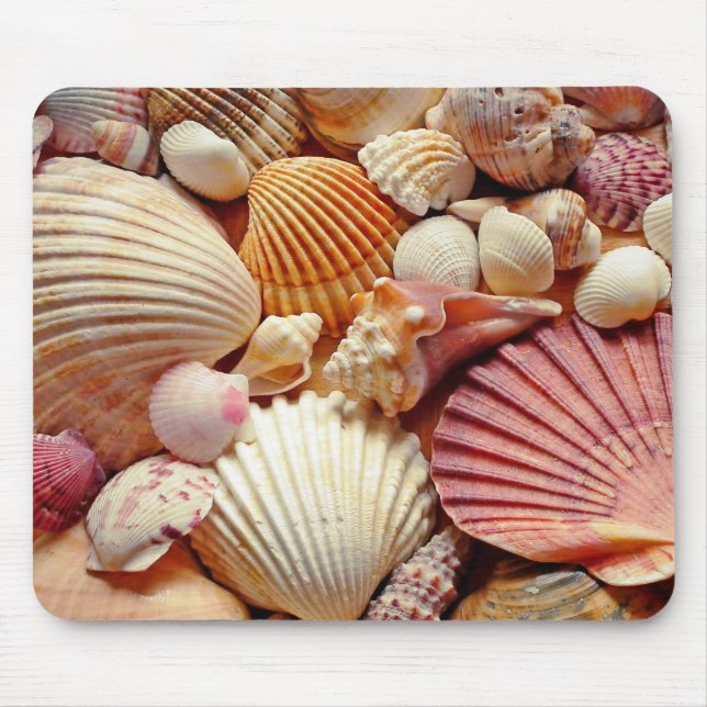 Collection of Seashells Scallops Clams and Conch Mouse Pad (Front)