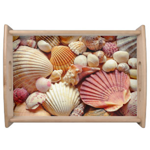 Collection of Seashells Scallops Clams and Conch Serving Tray