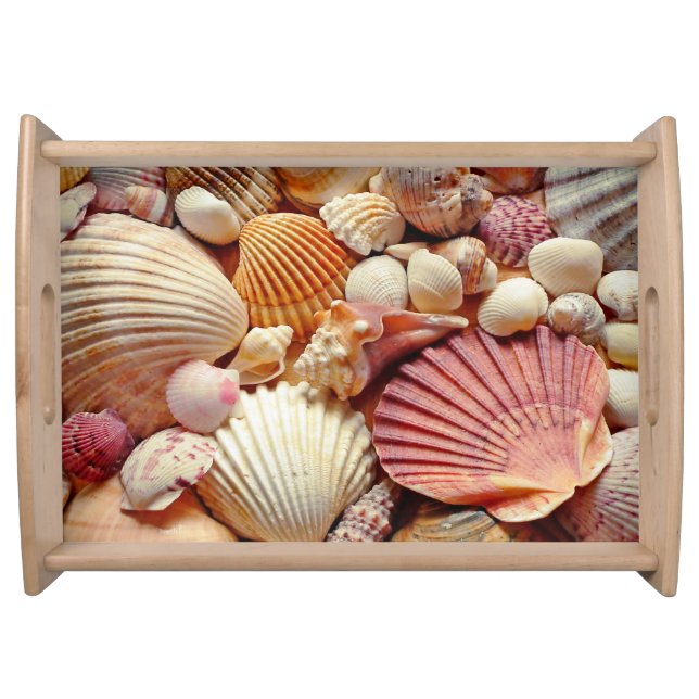 Collection of Seashells Scallops Clams and Conch Serving Tray (Front)